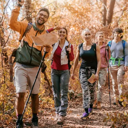 Camping Mobil Avec Terrasse à - Api-1-52-682