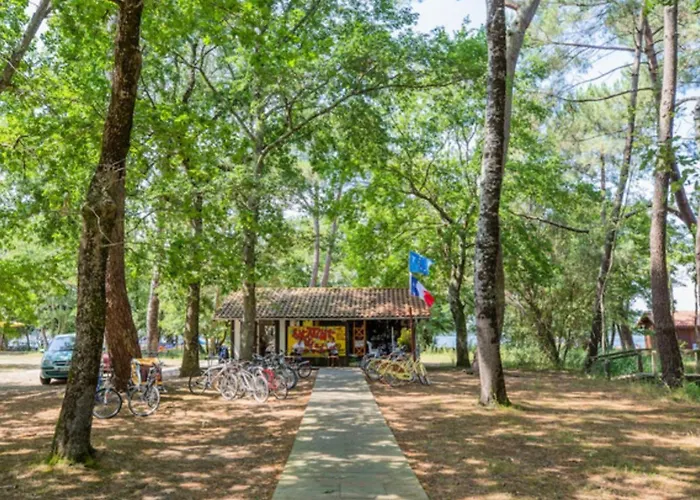 Mobil Avec Terrasse A - Api-1-52-682 Sainte-Eulalie-en-Born