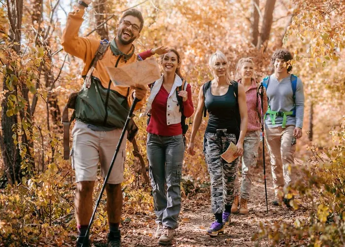 Campingplads Mobil Avec Terrasse A - Api-1-52-682