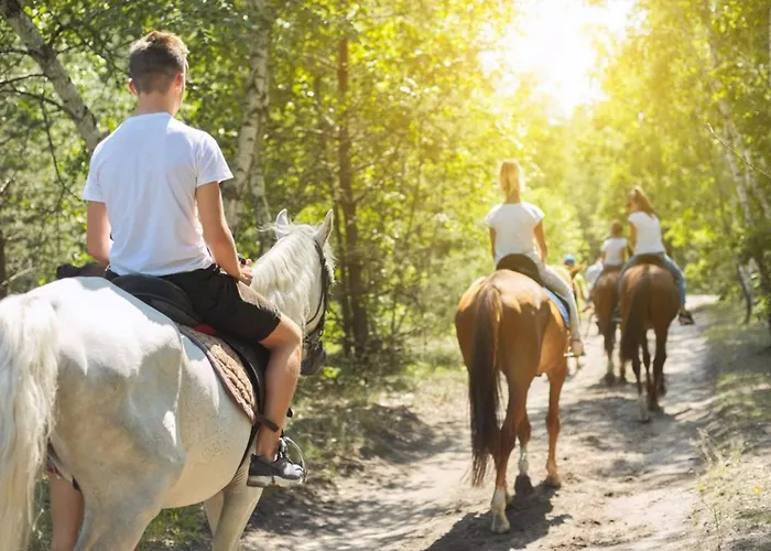 Campingplatz Mobil Avec Terrasse A - Api-1-52-682 *